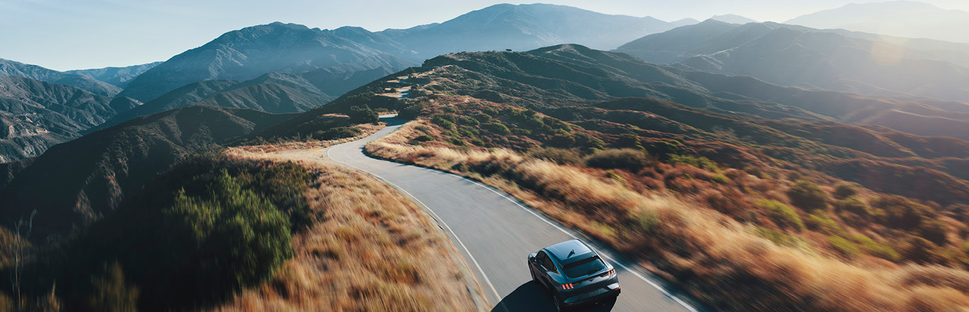 wild horse，MUSTANG MACH，Photography，automobile，