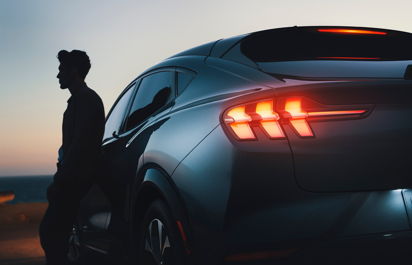 wild horse，MUSTANG MACH，Photography，automobile，