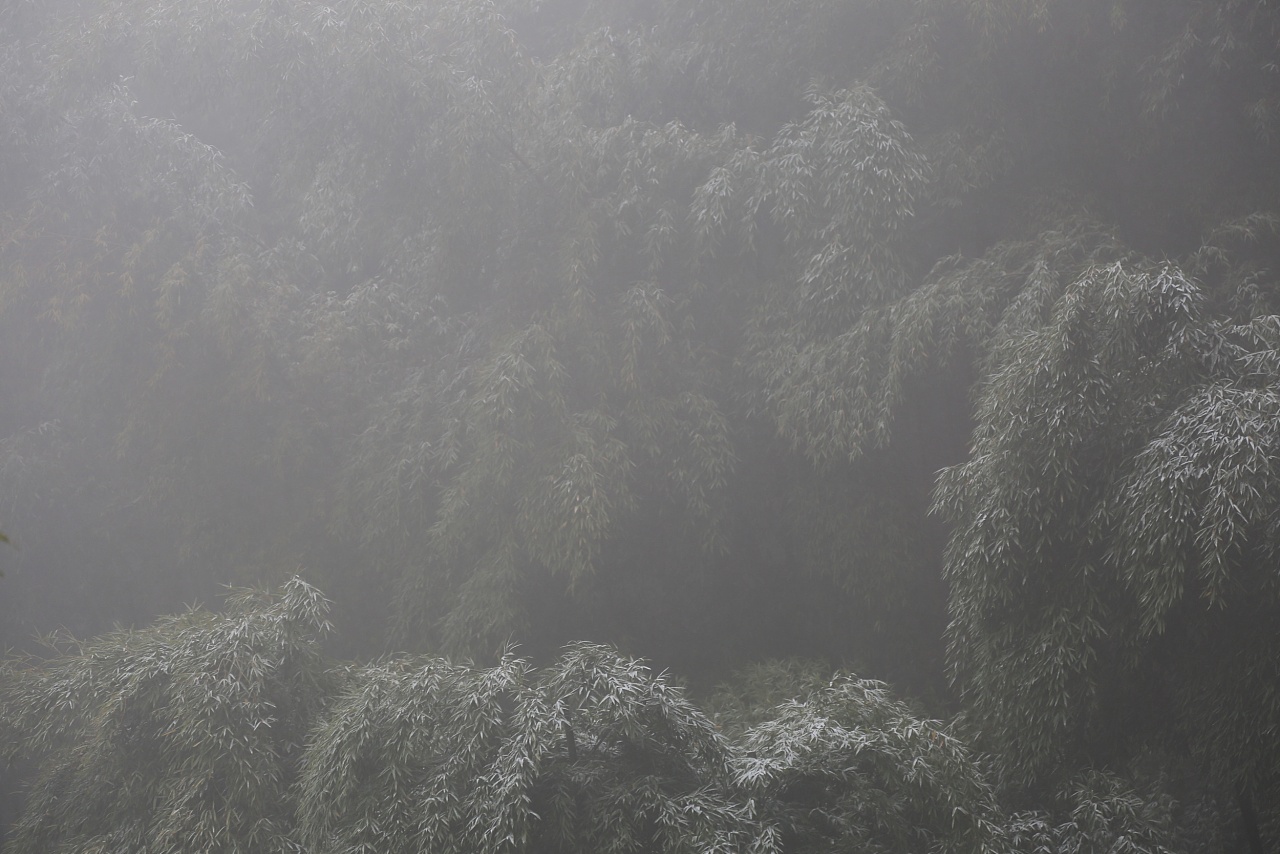 product design，Brand design，international awards ，industrial design，Cultural creation，