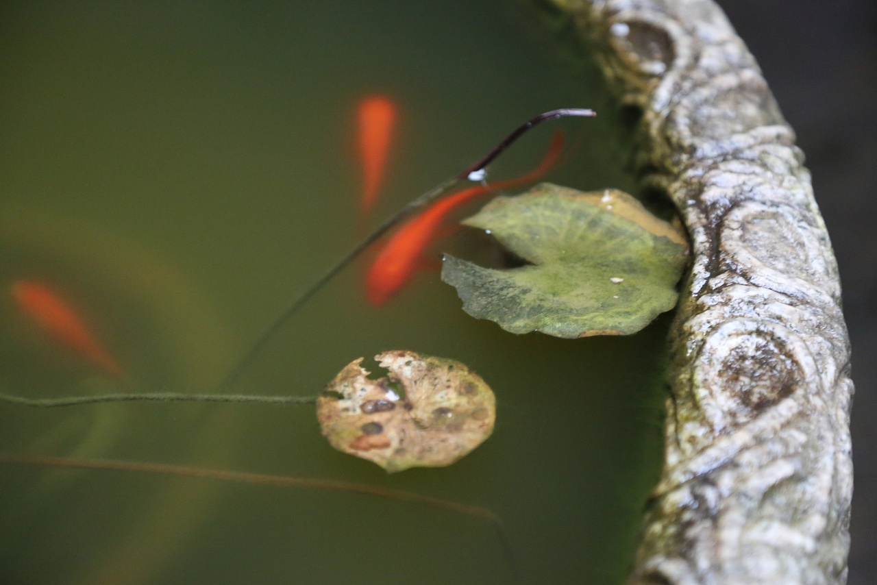 product design，Brand design，international awards ，industrial design，Cultural creation，