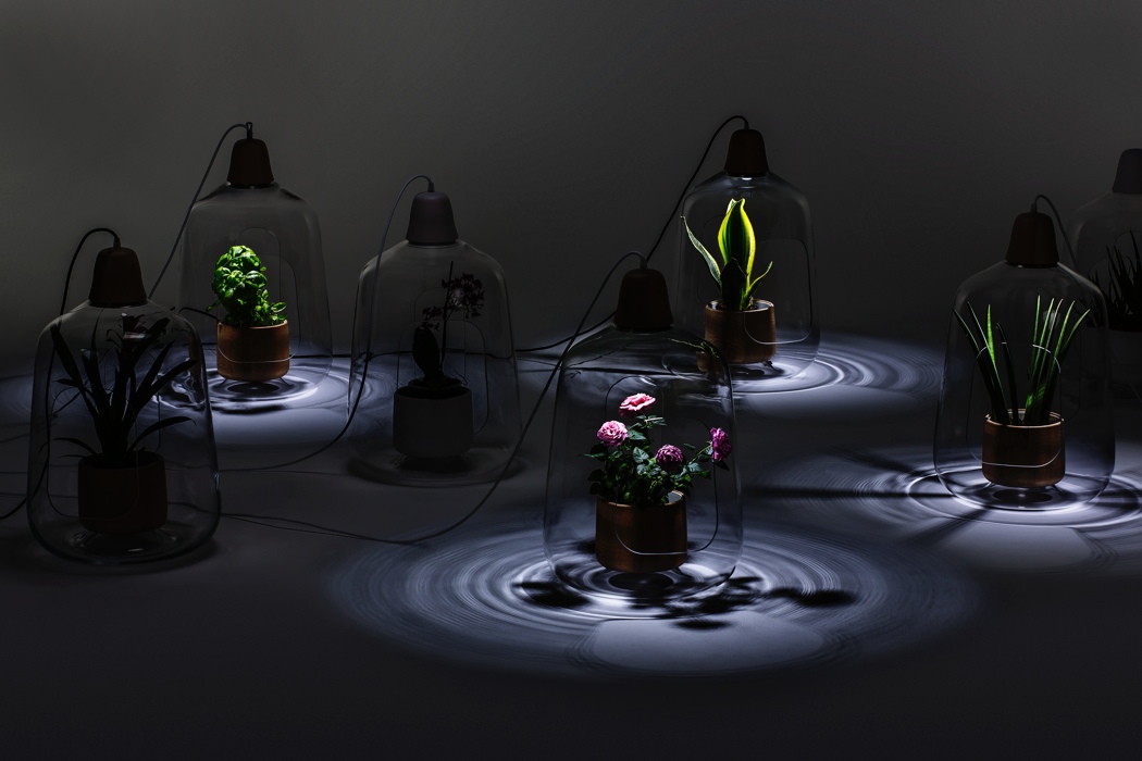 lighting，lamps and lanterns，Glass，Potted plants，