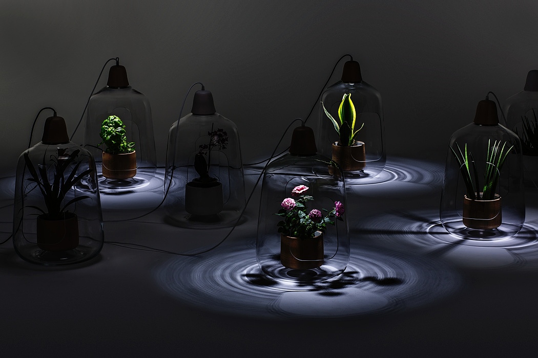 lighting，lamps and lanterns，Glass，Potted plants，