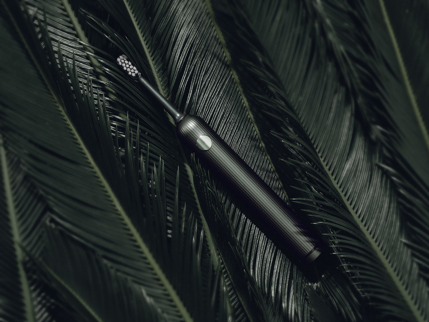 forest，product design，industrial design，Electric toothbrush，