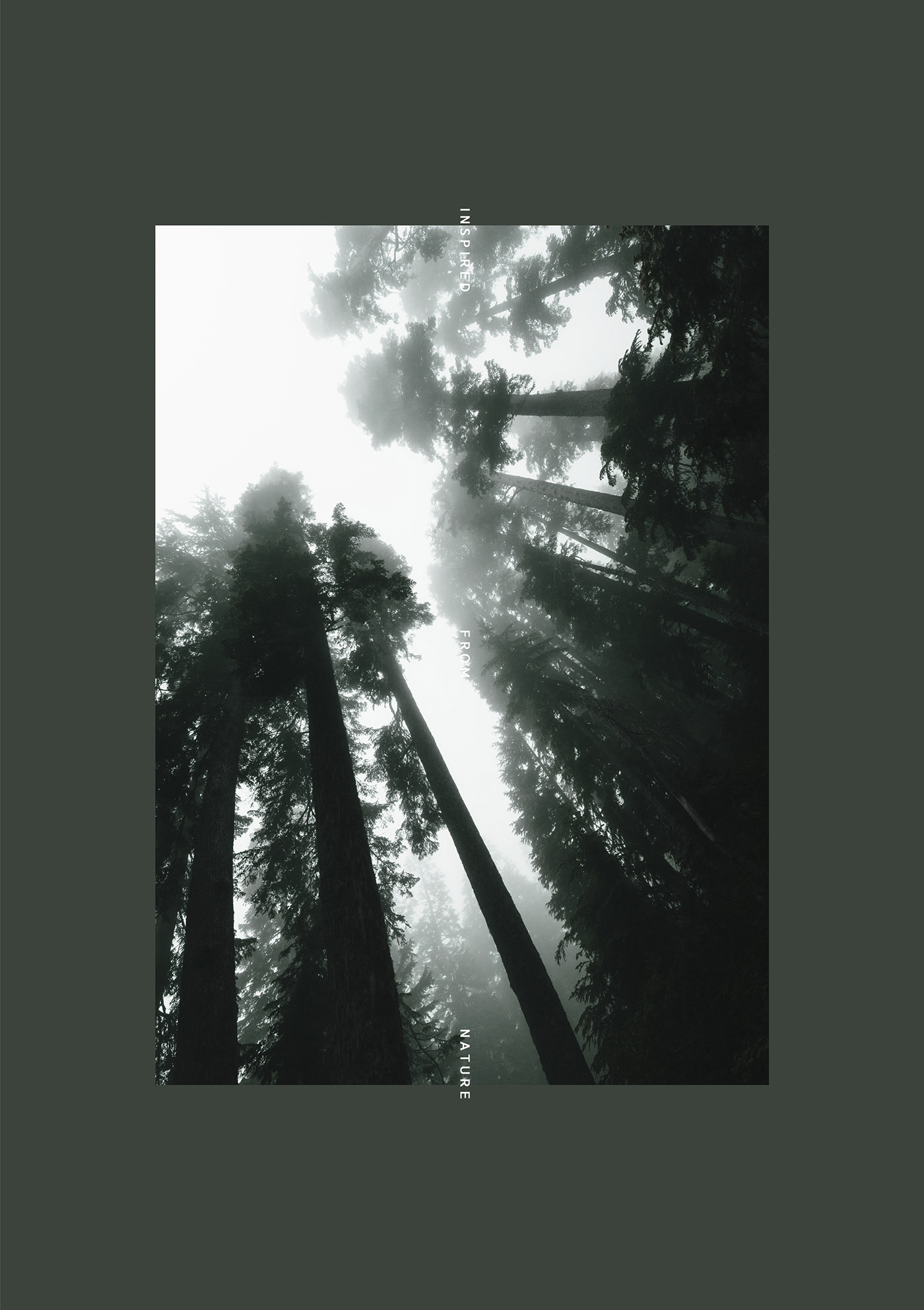 forest，product design，industrial design，Electric toothbrush，