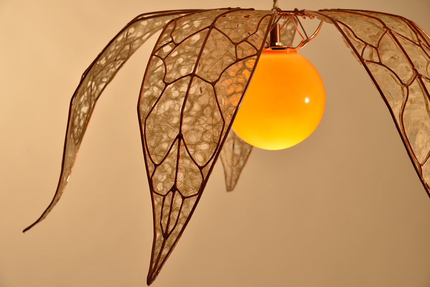 lamp，a chandelier，Physalis ，Bionics Design ，