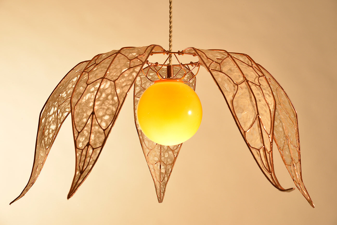 lamp，a chandelier，Physalis ，Bionics Design ，