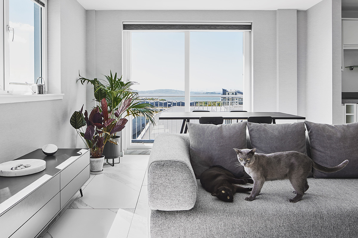 Botany，indoor，color，Minimalism，