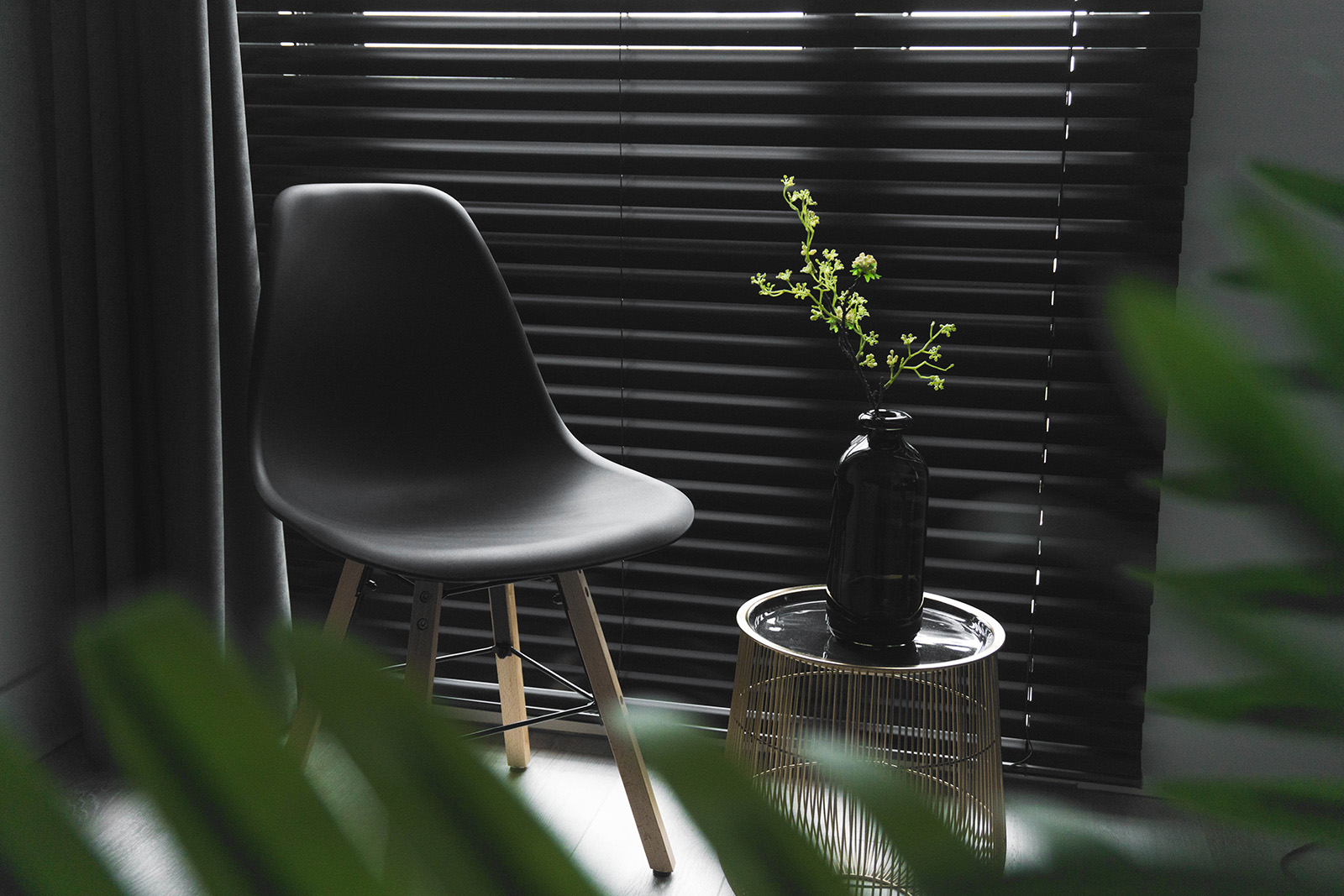 Botany，indoor，color，Minimalism，