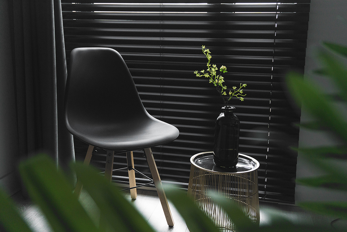 Botany，indoor，color，Minimalism，