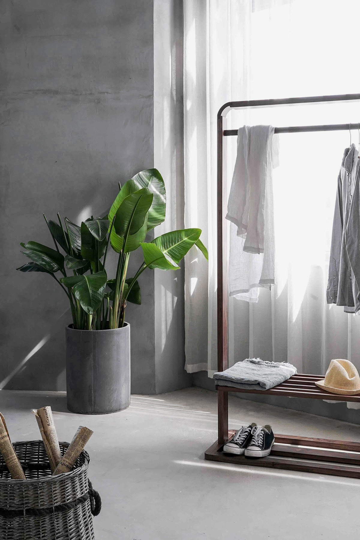 Botany，indoor，color，Minimalism，