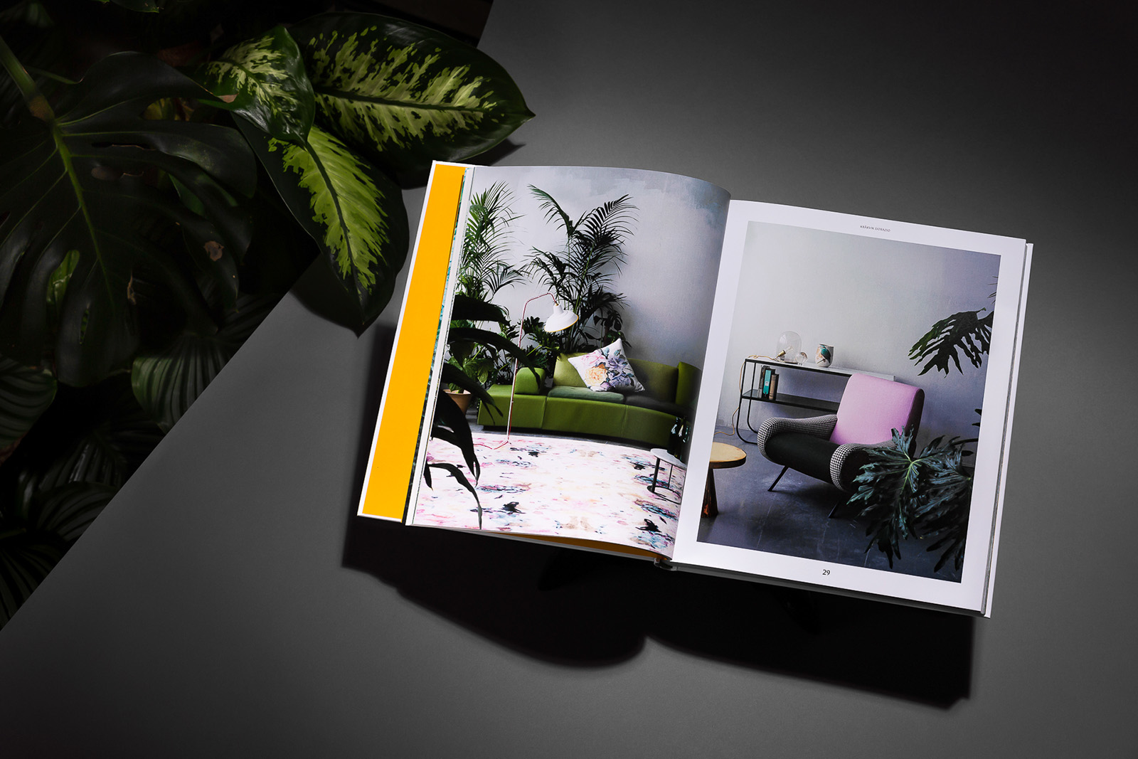 Botany，indoor，color，Minimalism，