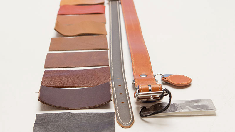 dog，a collar for a horse，Leatherwear，charge，