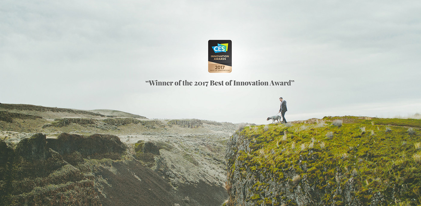 dog，a collar for a horse，Leatherwear，charge，