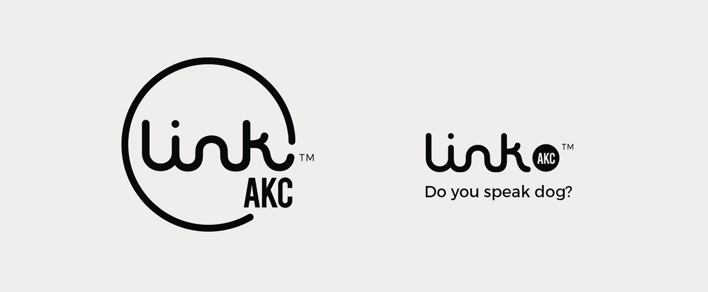 dog，a collar for a horse，Leatherwear，charge，