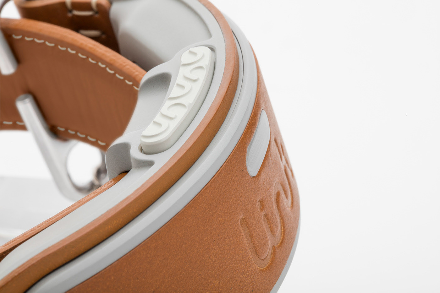 dog，a collar for a horse，Leatherwear，charge，