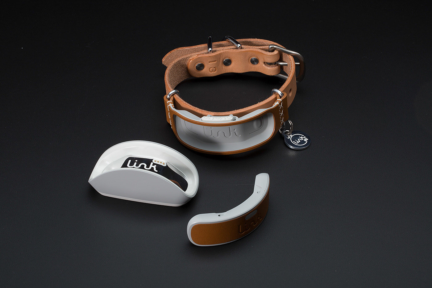 dog，a collar for a horse，Leatherwear，charge，