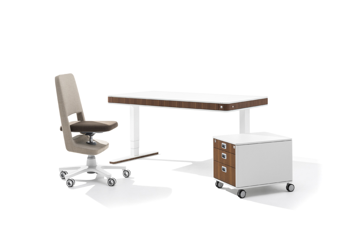 chair，chair，Moll S9，ID AID，Swivel chair，