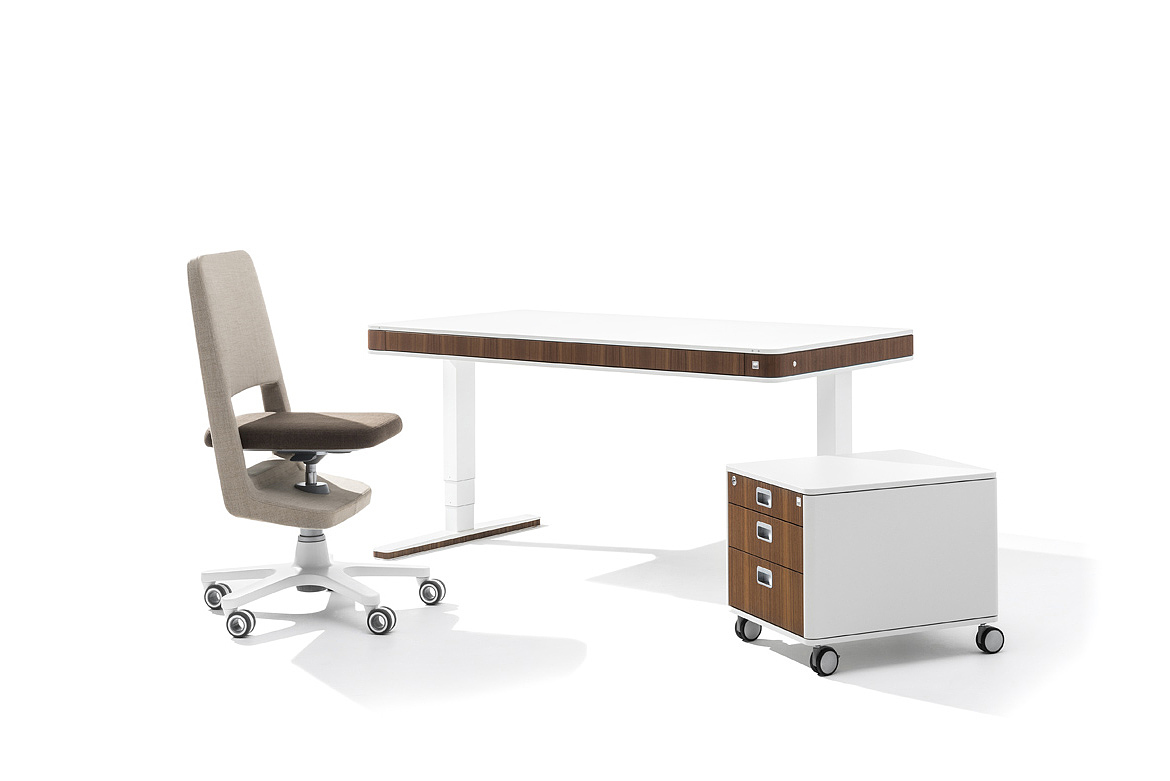 chair，chair，Moll S9，ID AID，Swivel chair，