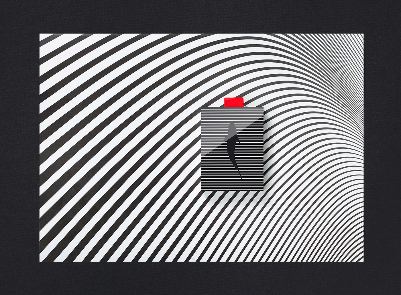 seafood，packing design，