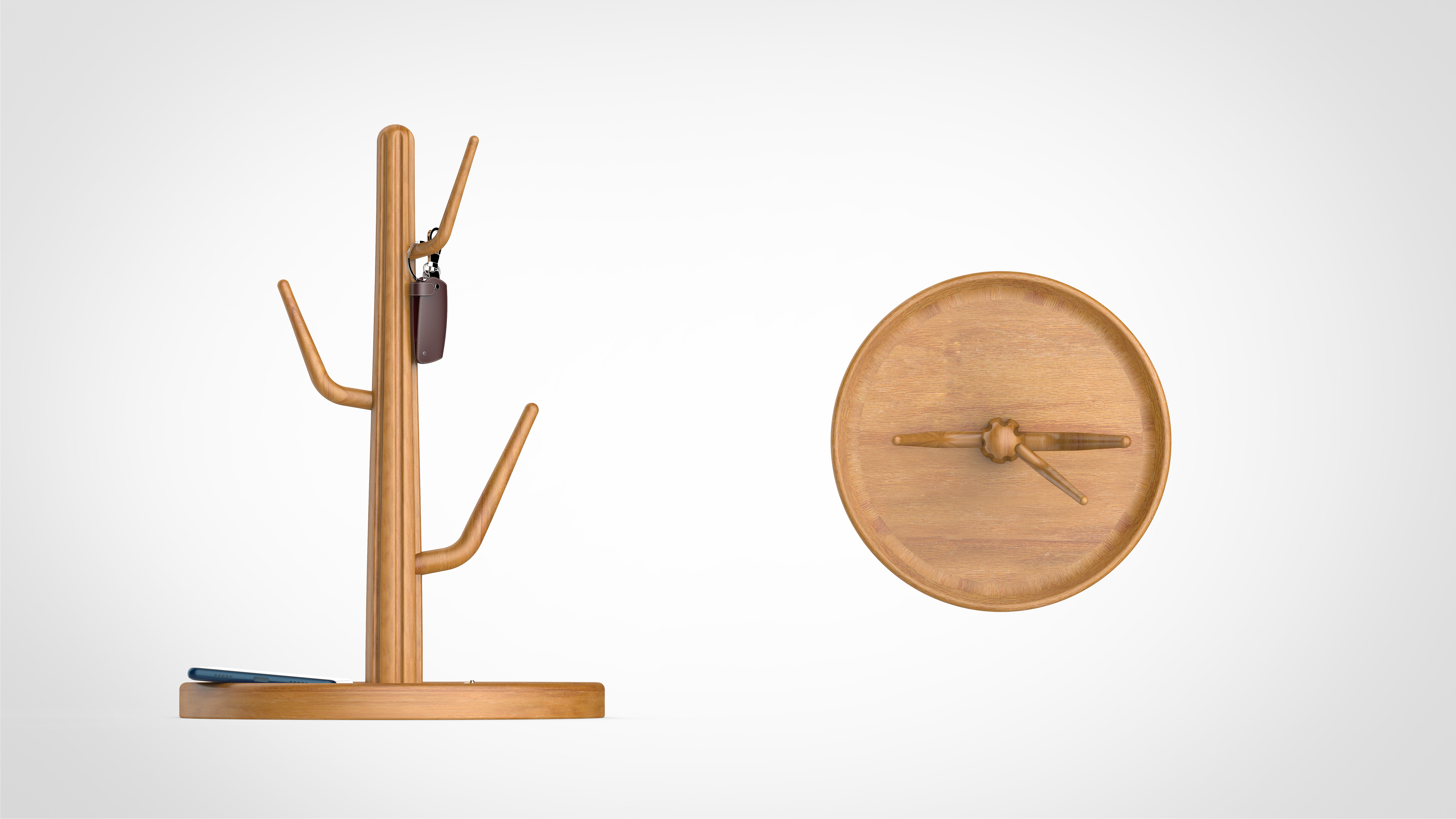 Let cactus give you some color!，