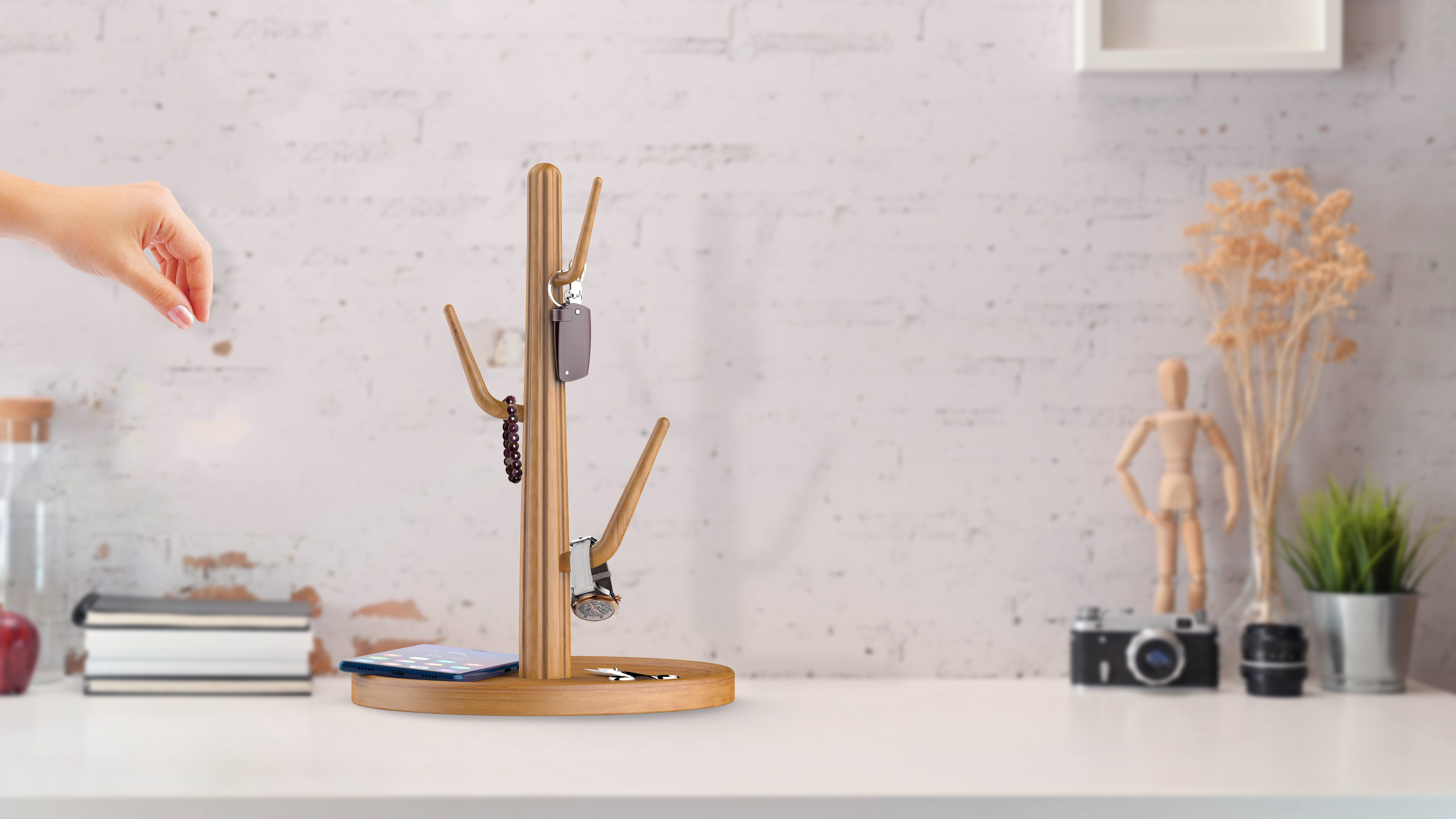 Let cactus give you some color!，