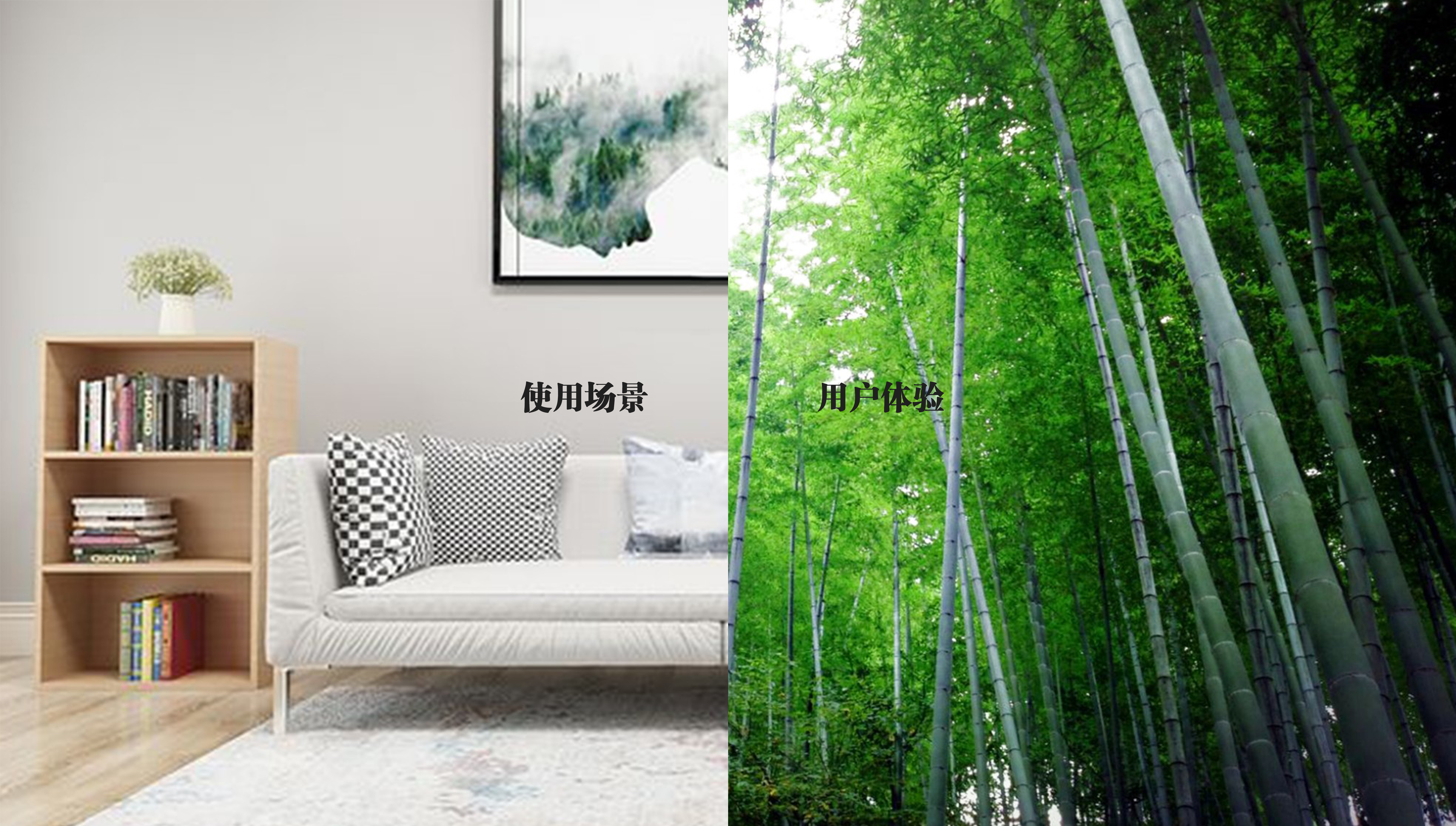 Spinning bike，motion，Simplicity，style，