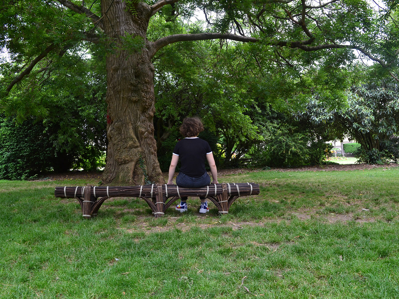 bench，tree，outdoors，garden，wicker，