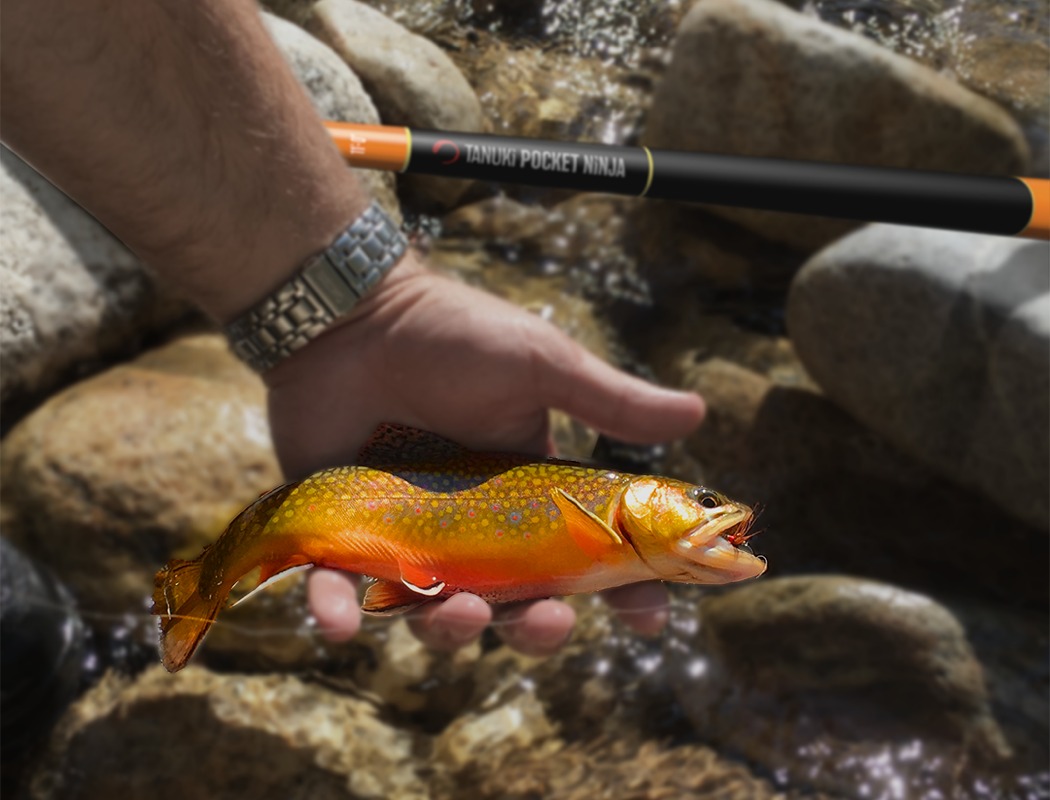 Fishing rod，Japan，Small，Shrinkable，