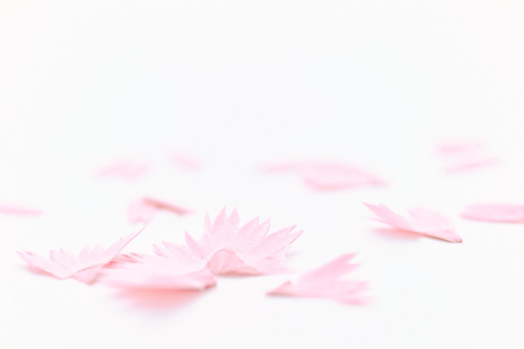 pencil，originality，Stationery，