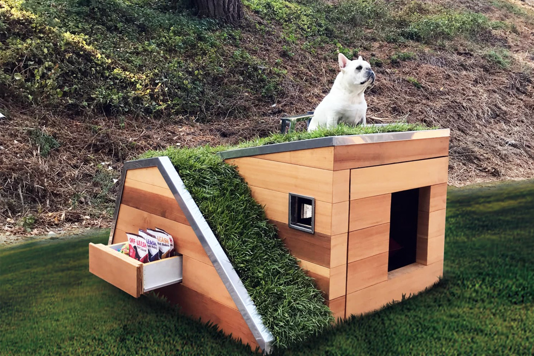 backyard，outdoors，entertainment，Tables and chairs，