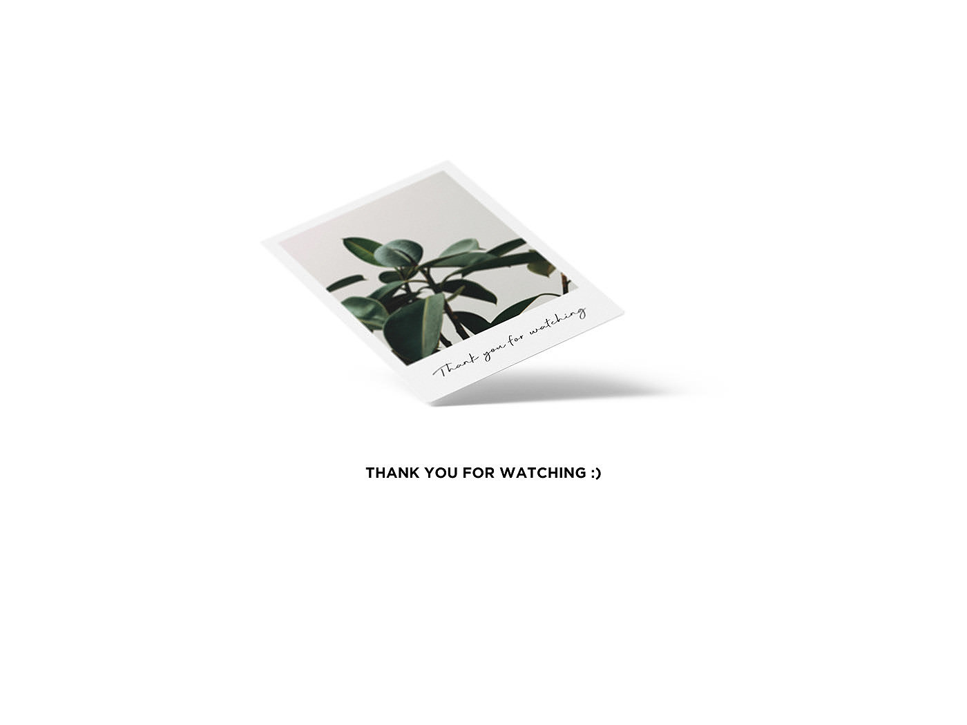 camera，Cheolsu Park，Pixmap，Polaroid，