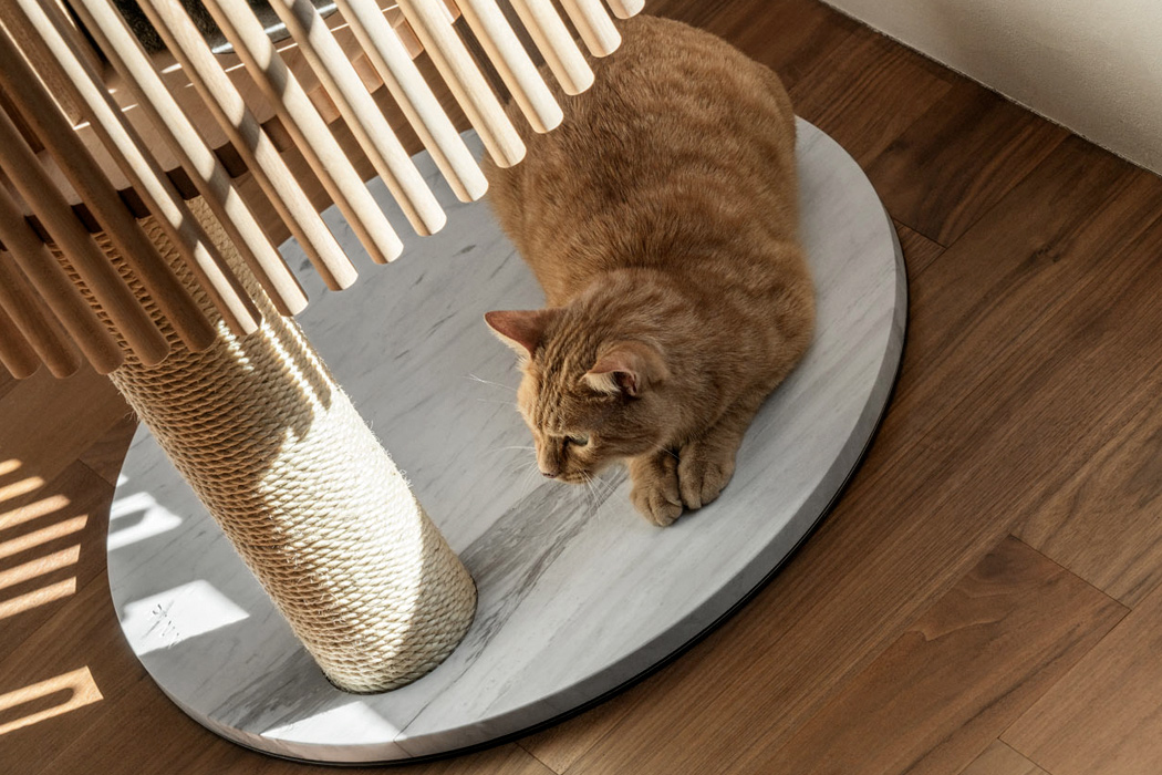 Pets，Kitty，entertainment，NEKO Cat Tree，