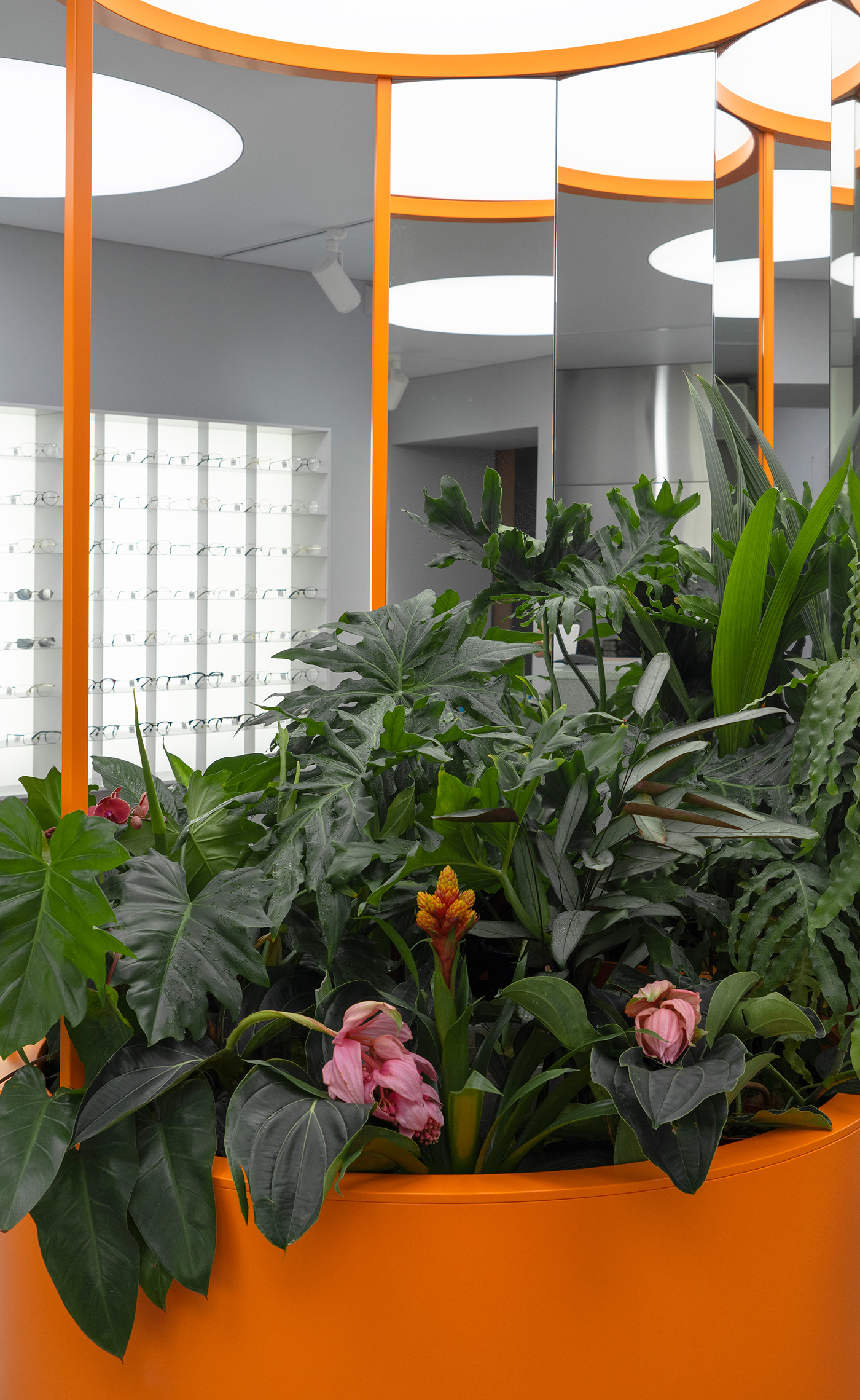 office，P. Y. e optical room，Lesha Galkin，