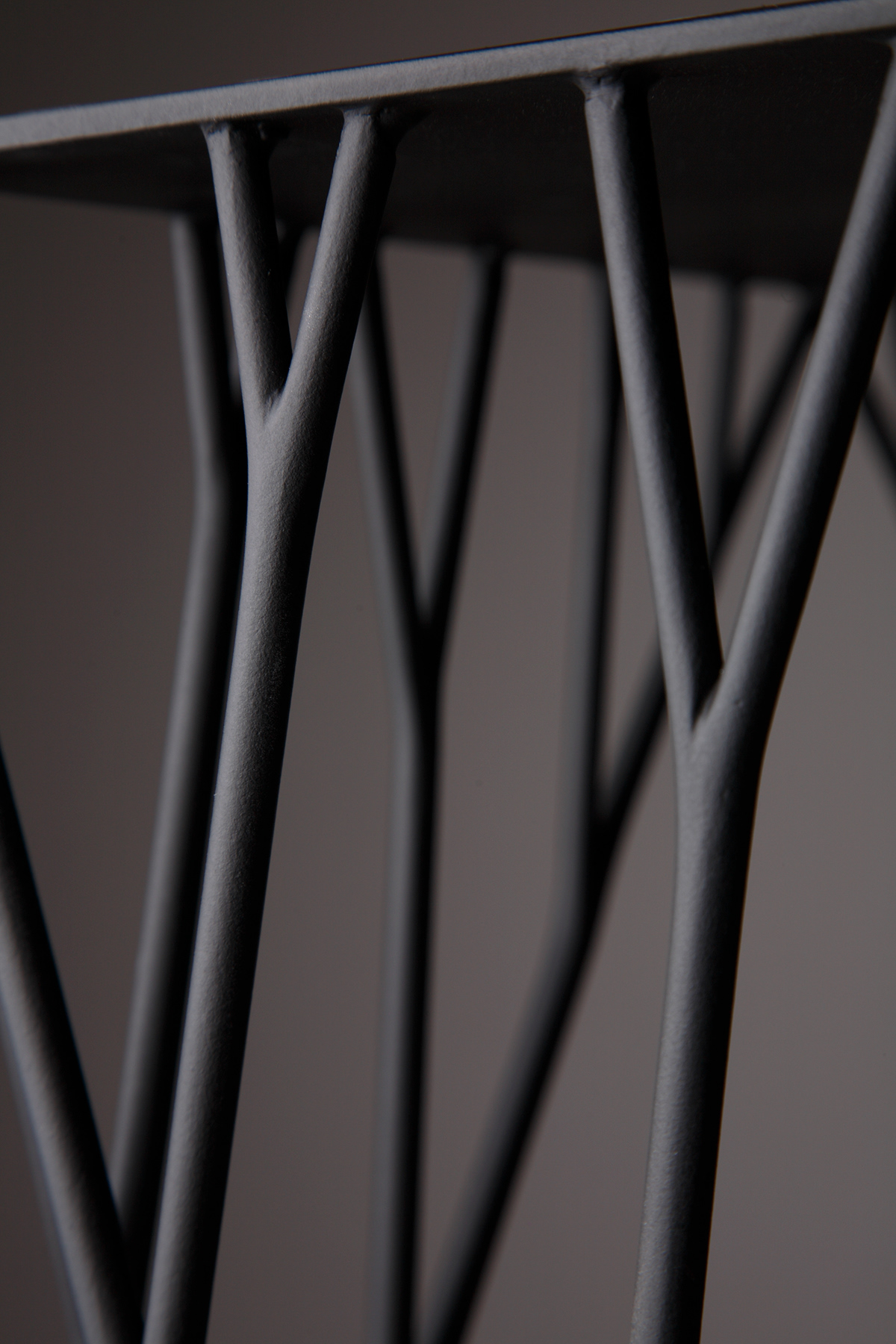 ARBORISM，chair，grow，