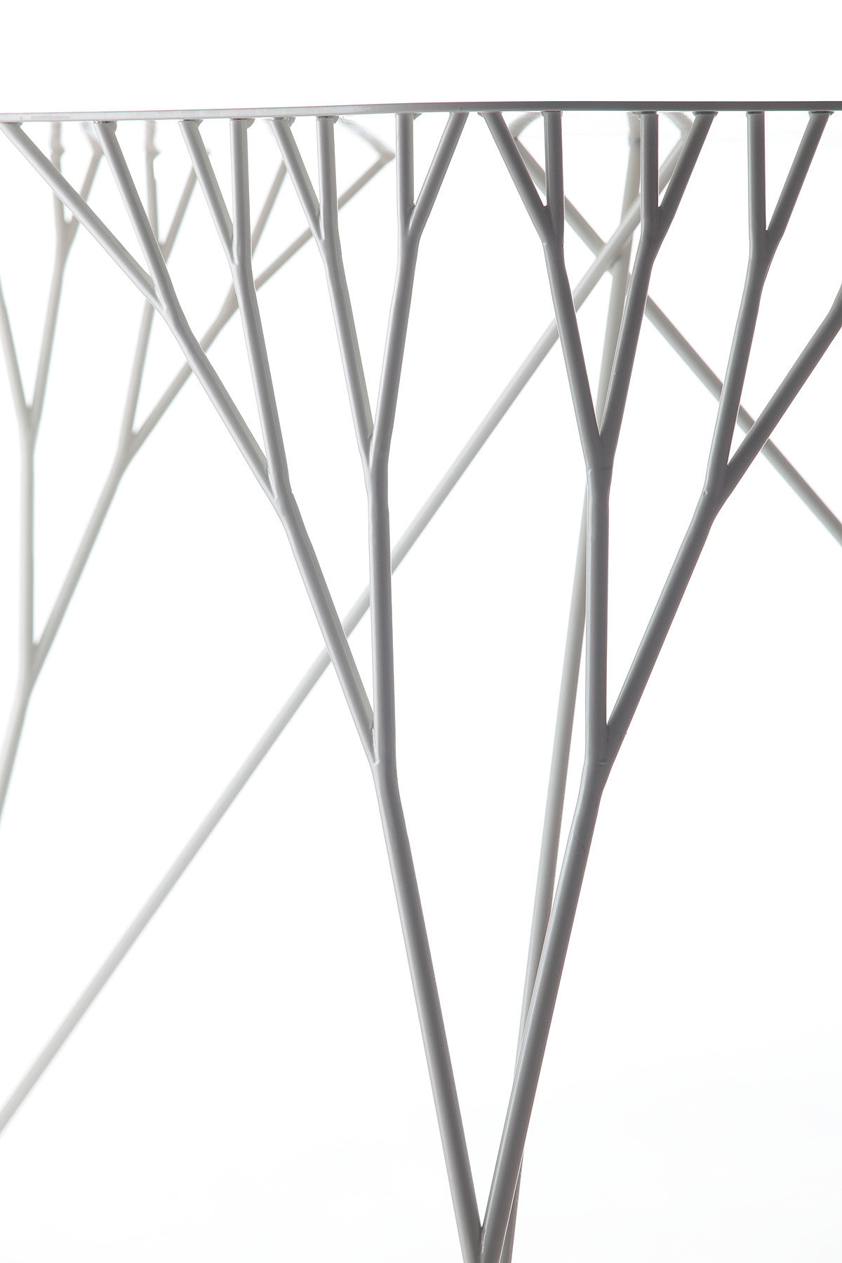 ARBORISM，chair，grow，