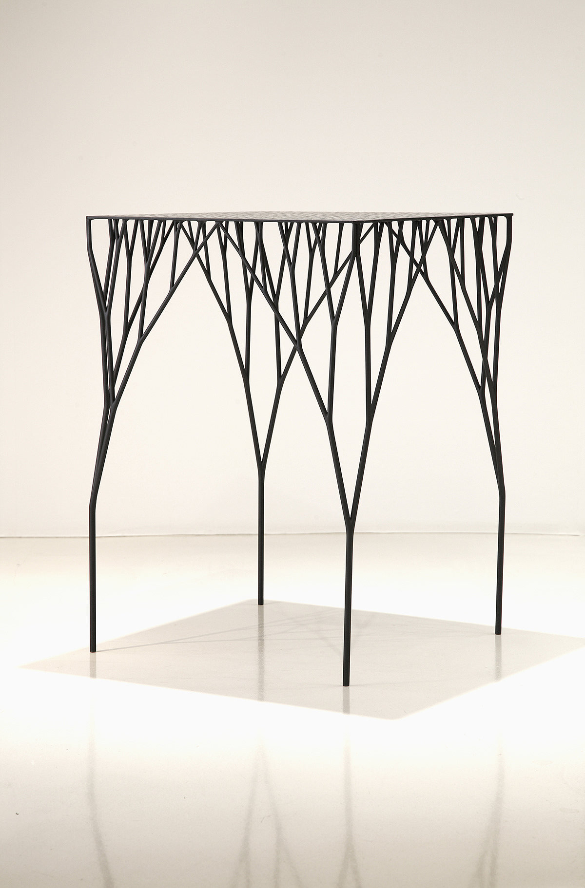 ARBORISM，chair，grow，