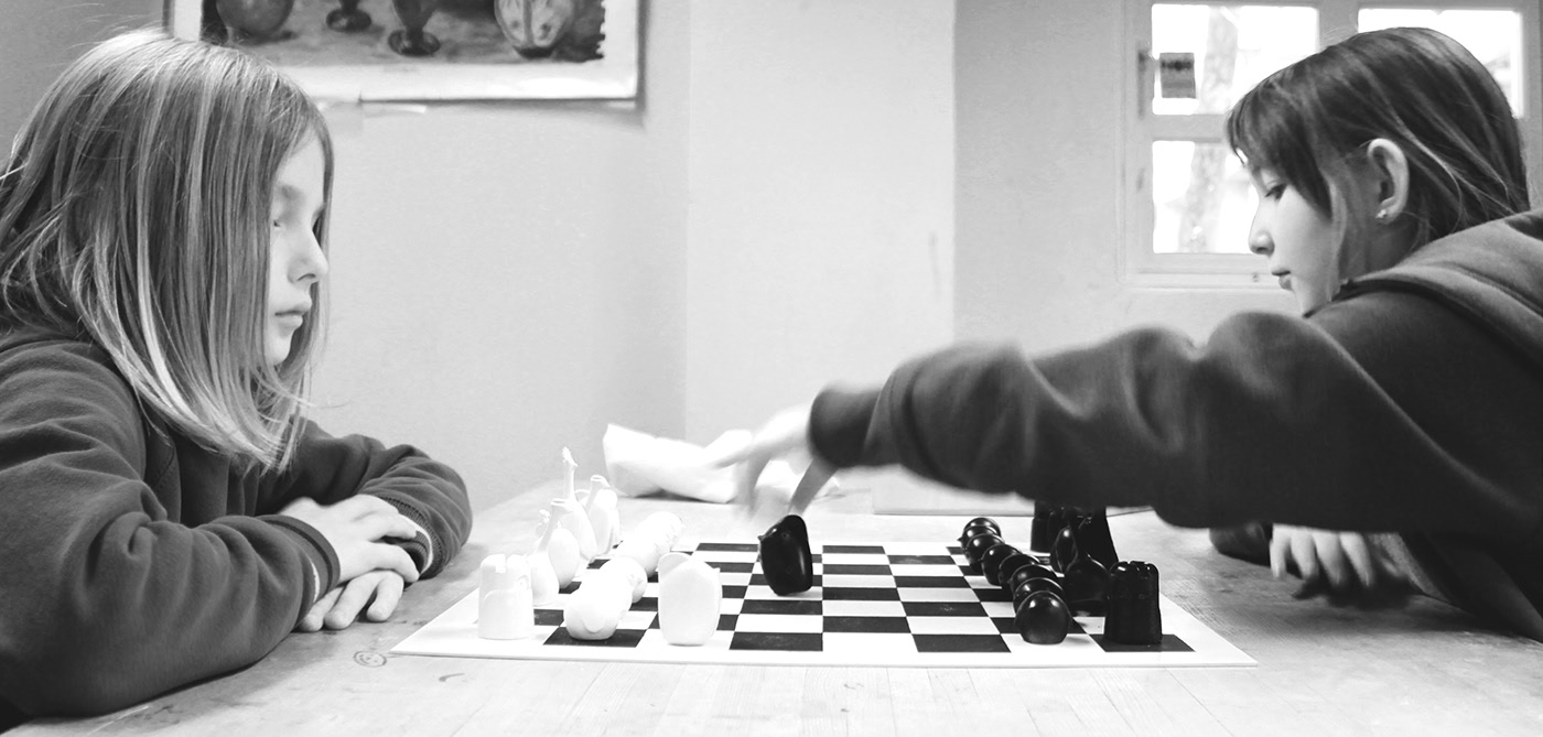 Chinese chess，originality，product design，Bird Chess，