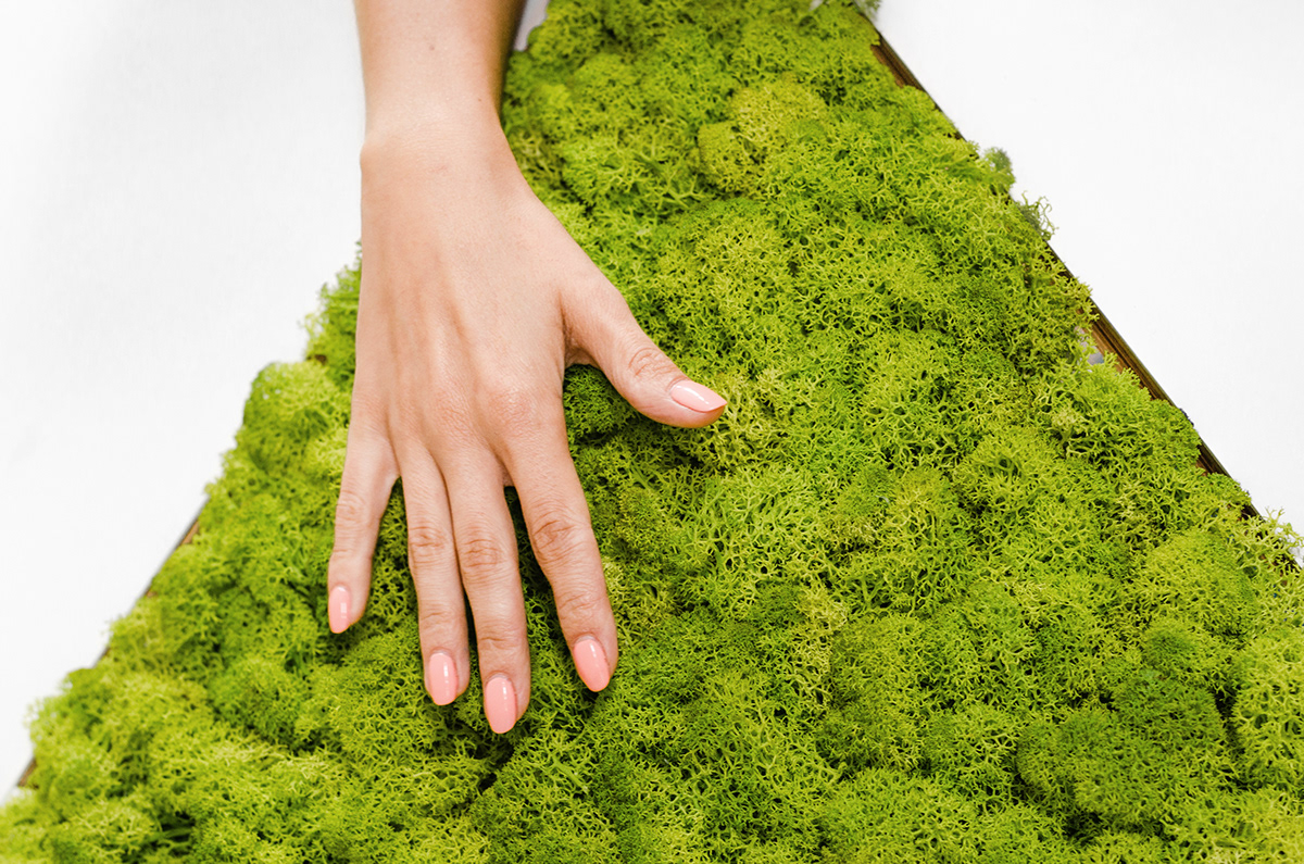 star，Workshop，upgrade，