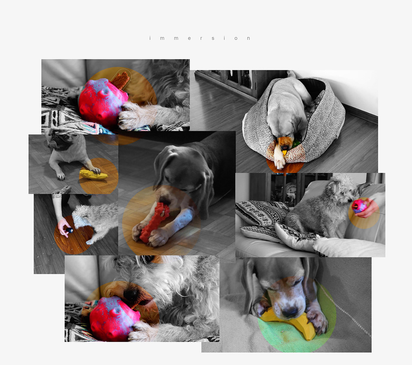 Vulcanized rubber，Petjog，Toys，Pets，valkiriaic，