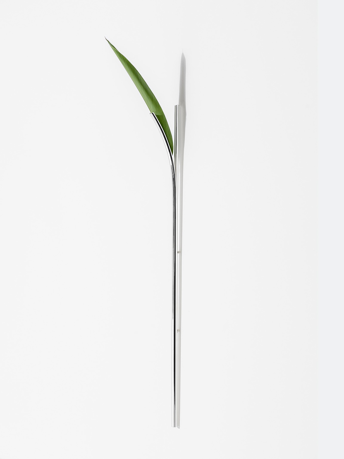 Lonely，vase，Minimalist，