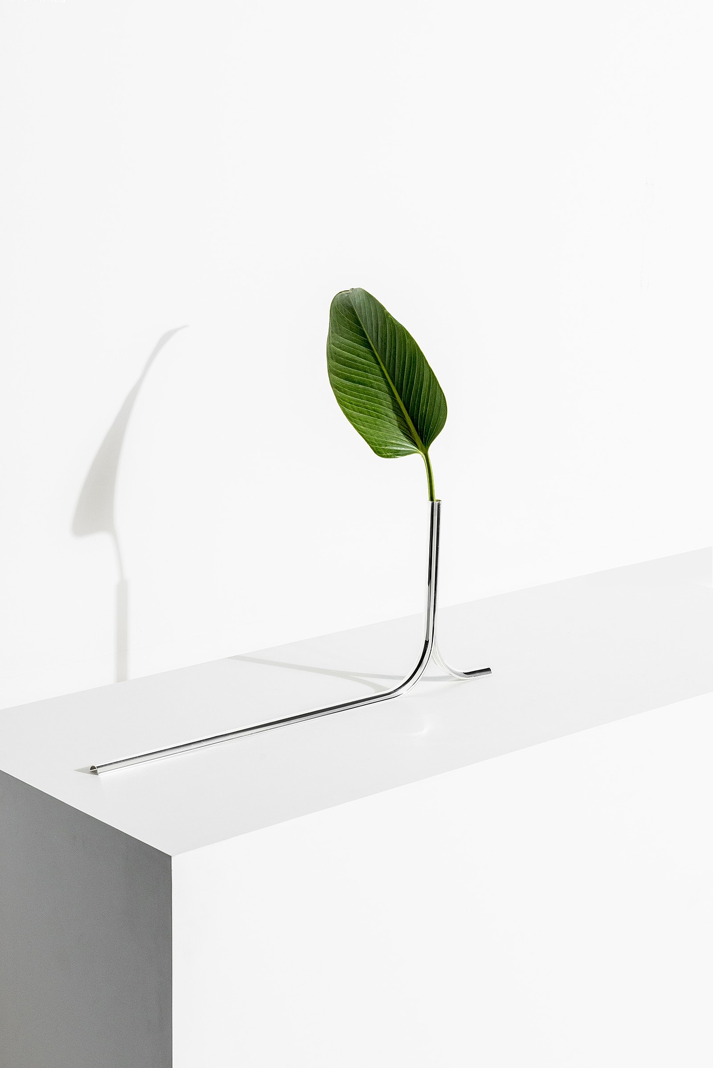 Lonely，vase，Minimalist，