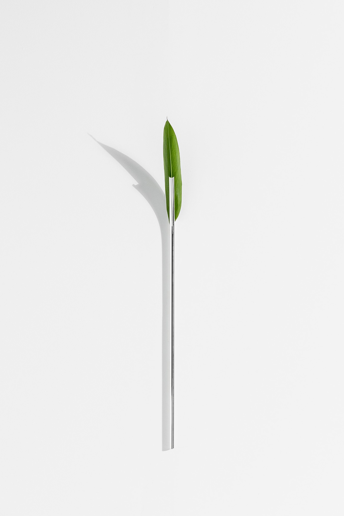 Lonely，vase，Minimalist，