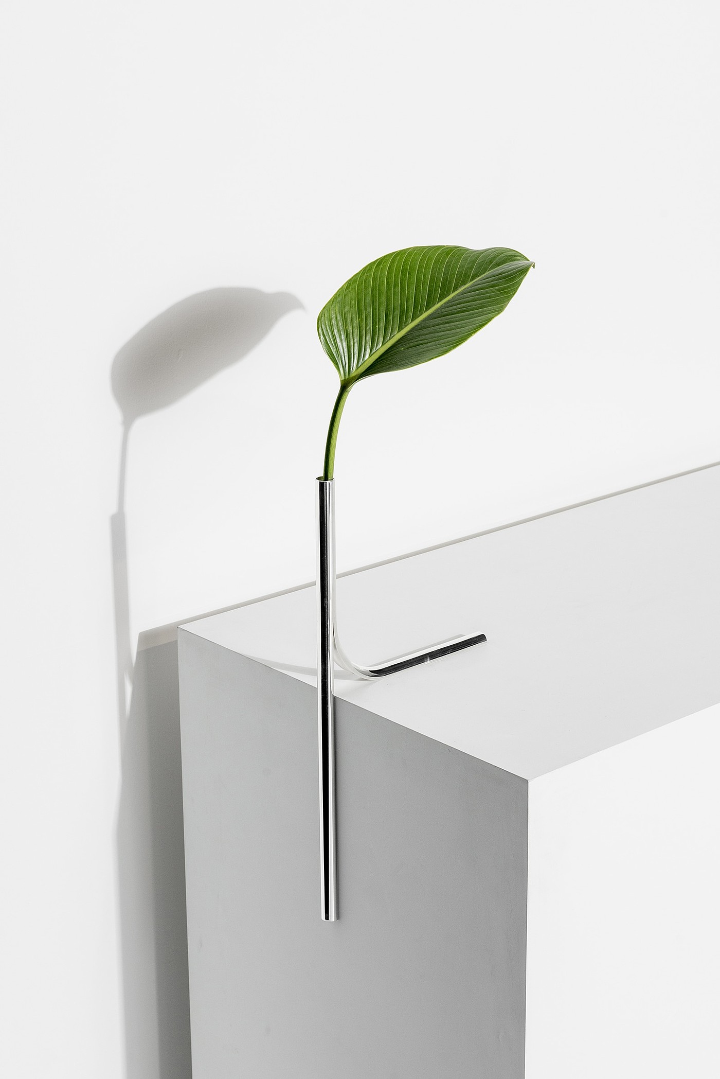 Lonely，vase，Minimalist，