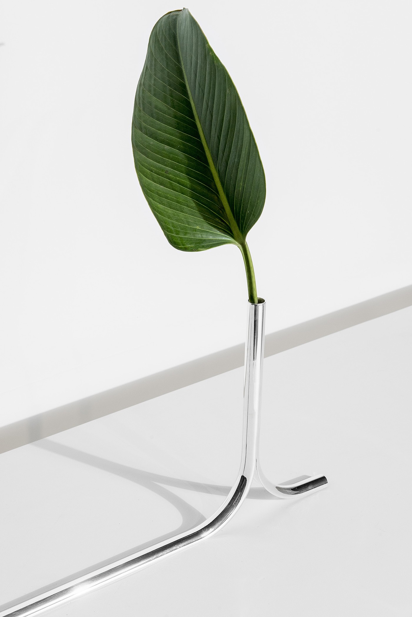 Lonely，vase，Minimalist，