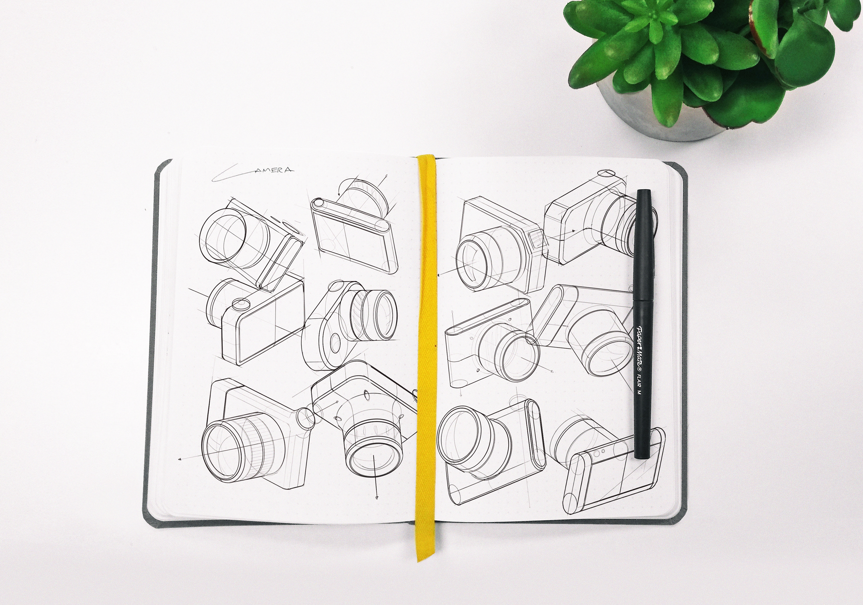 Lytrolym，camera，Good face，