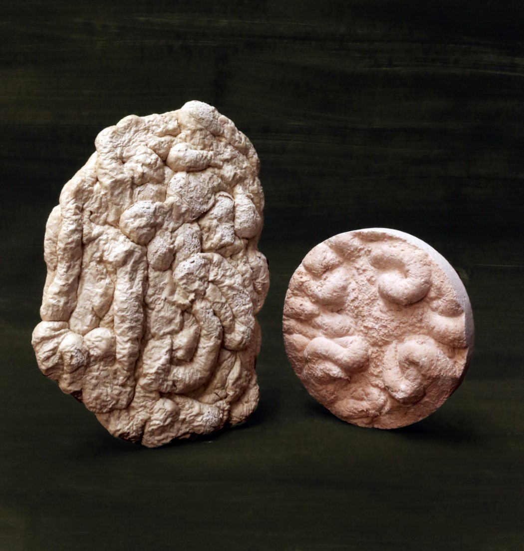 Tessa Silva，environment protection，Sustainable materials，industrial design，