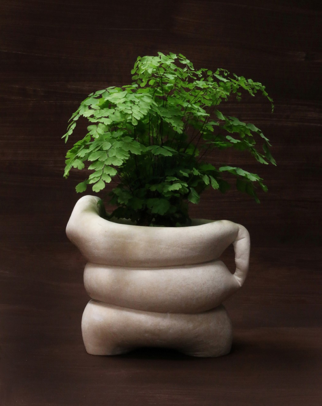 Tessa Silva，environment protection，Sustainable materials，industrial design，