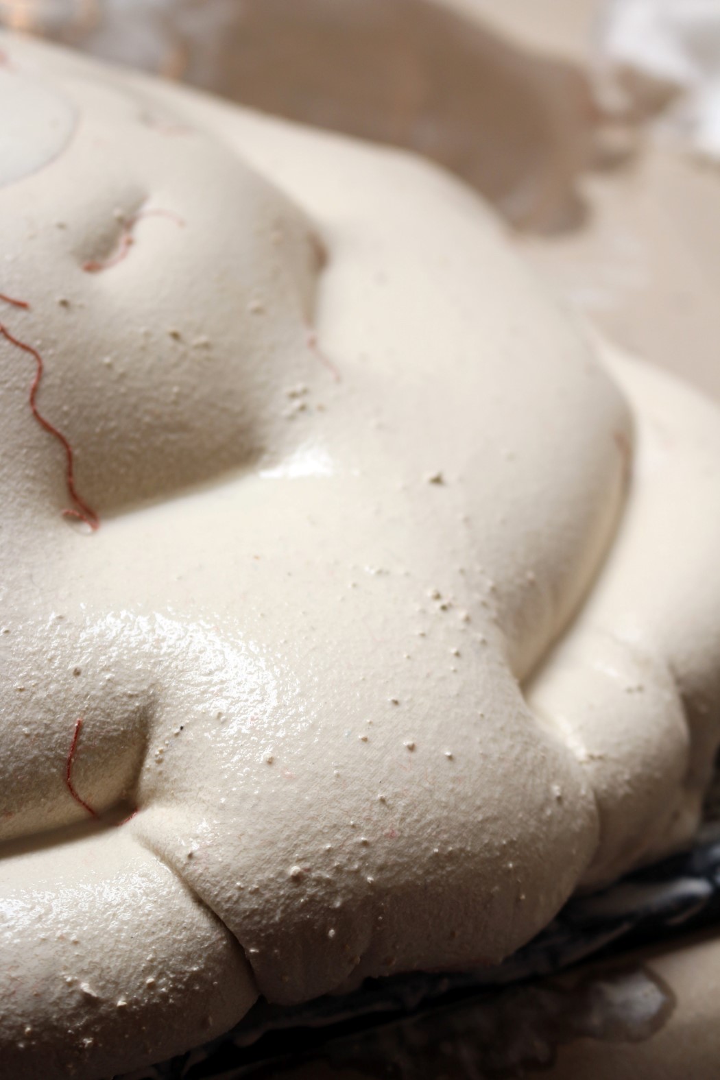 Tessa Silva，environment protection，Sustainable materials，industrial design，