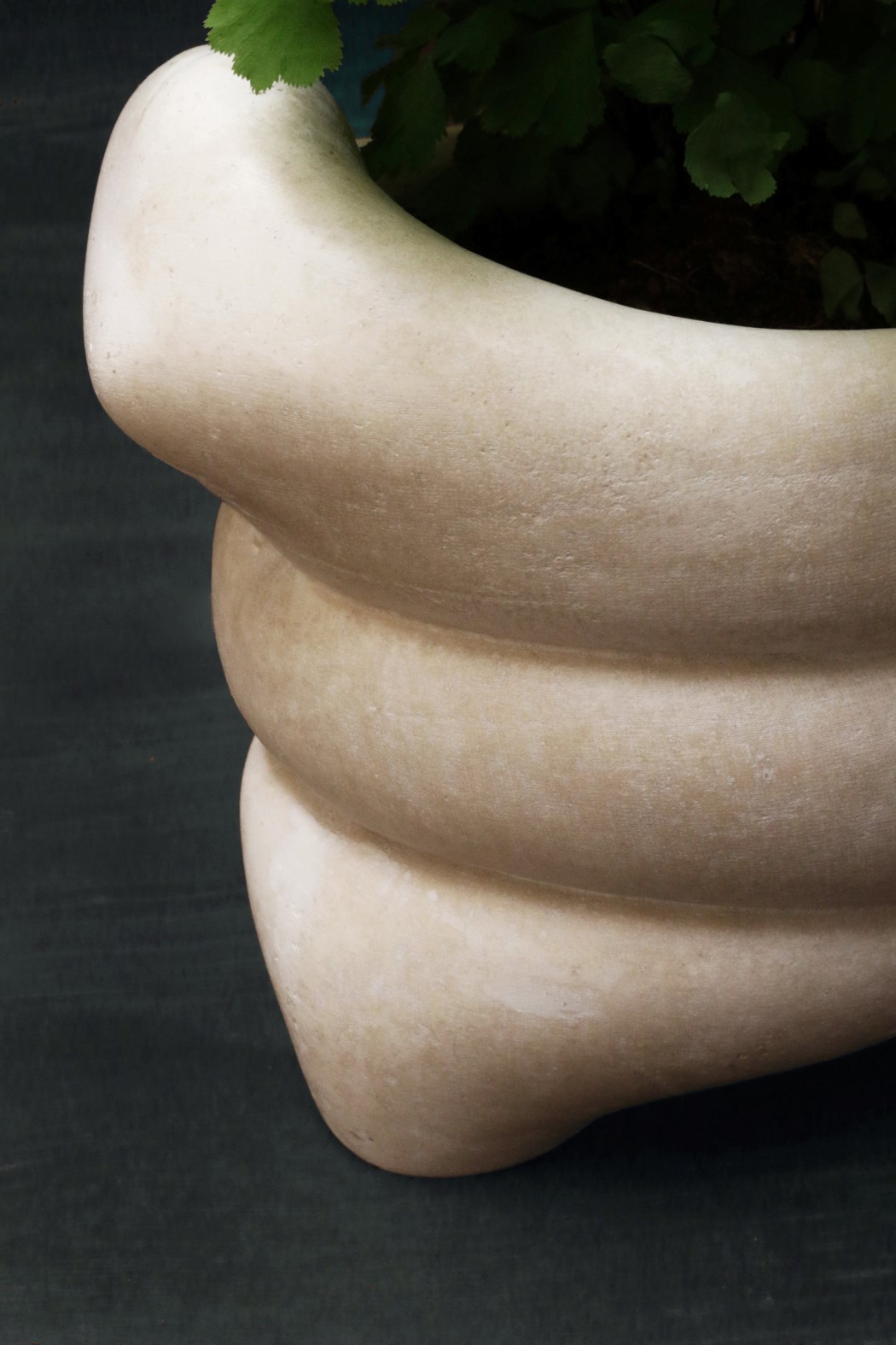 Tessa Silva，environment protection，Sustainable materials，industrial design，