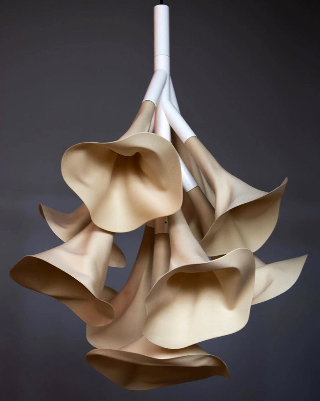 Art，demand，furniture，Collection，